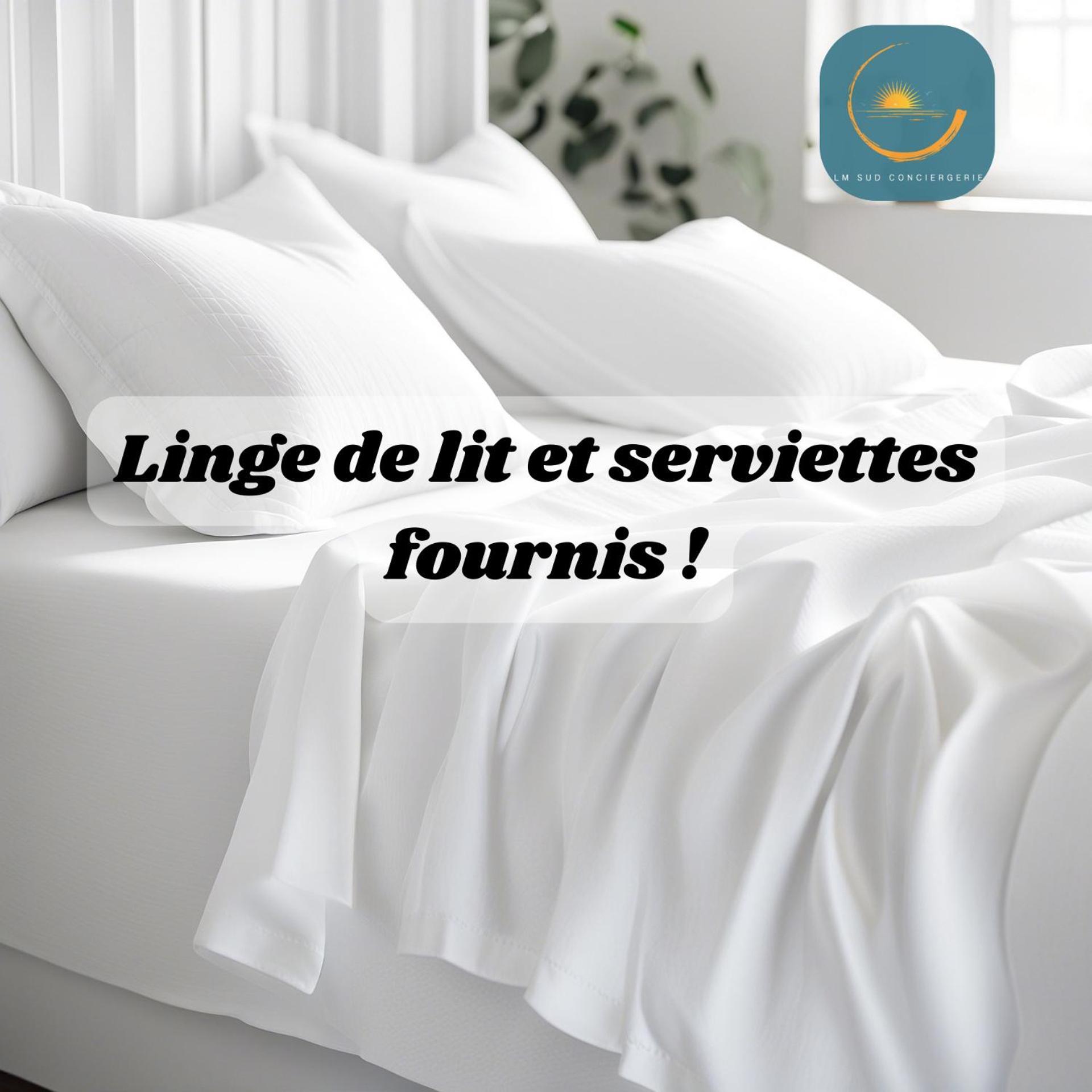 * F3 Haussmannien, Centre-Ville, 4 Pers, Wifi * Montpellier Ngoại thất bức ảnh