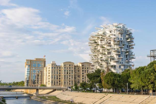 * F3 Haussmannien, Centre-Ville, 4 Pers, Wifi * Montpellier Ngoại thất bức ảnh