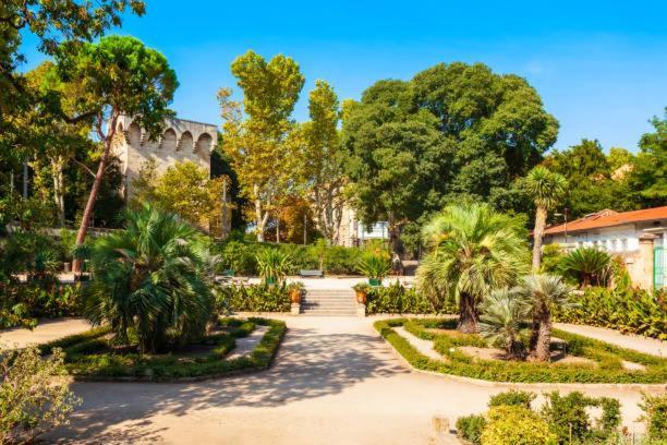 * F3 Haussmannien, Centre-Ville, 4 Pers, Wifi * Montpellier Ngoại thất bức ảnh